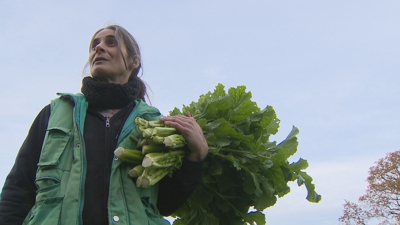 Unha produtora da asociación A Estruga Espazo Agroecolóxica porta un mollo de nabizas