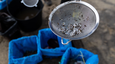 'Pellets' atopados na praia Bos, a 13 de enero de 2024, en Noia, A Coruña, Galicia/Foto de Archivo/Elena Fernández/Europa Press