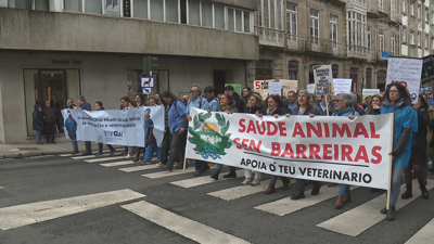 Manifestación dos veterinarios galegos este domingo en Santiago polo benestar dos animais