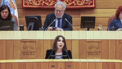 A Conselleira de Economía e Industria, María Jesús Lorenzana, no pleno do Parlamento. EFE/Xoán Rey