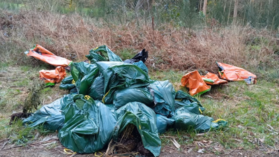 As bolsas cheas de plantas de marihuana que atopou Manuel Campos